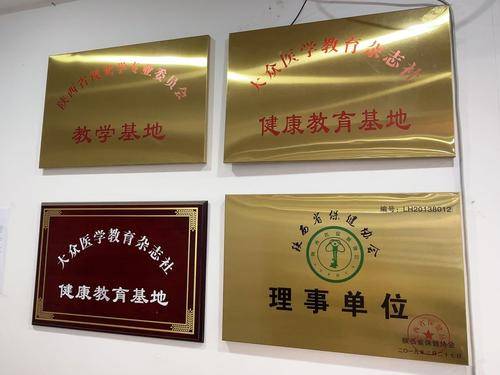 陕西瞳心圆
