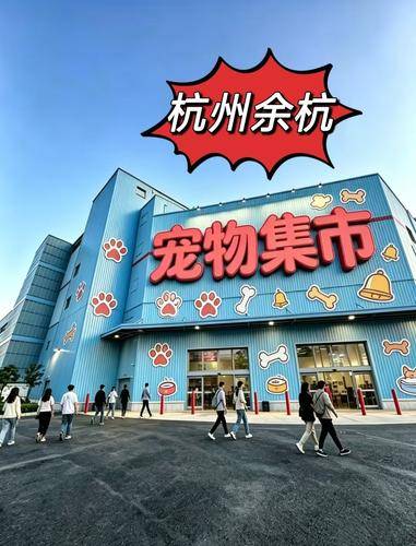 宠汪宠喵