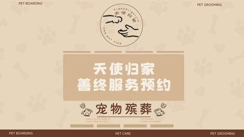 天使归家 天使归家