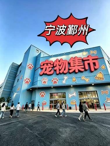宠汪宠喵
