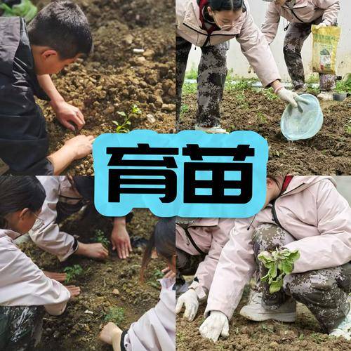 成都鹏舟拓展教育基地