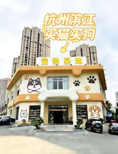 宠汪宠喵
