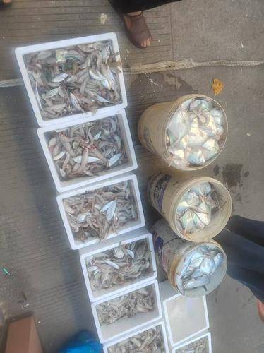 象山石浦海岛休闲渔业