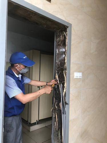 广州市为民白蚁防治中心