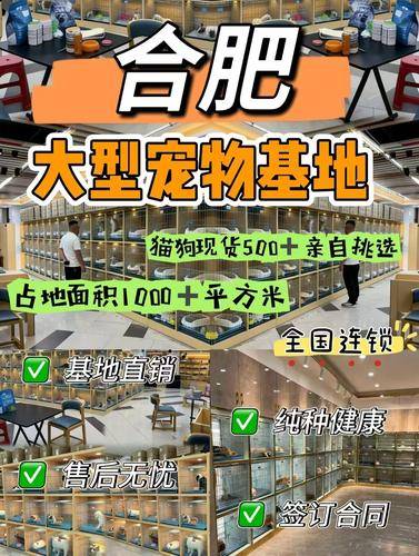 宠汪宠喵