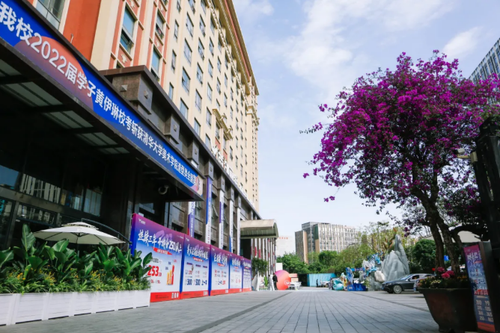 成都首创锦榜( 联系电话：19302817693)教育科技有限公司