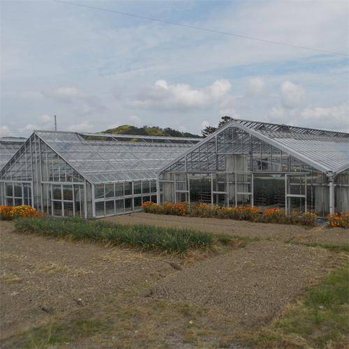 四川宝力达金属管件制造有限公司