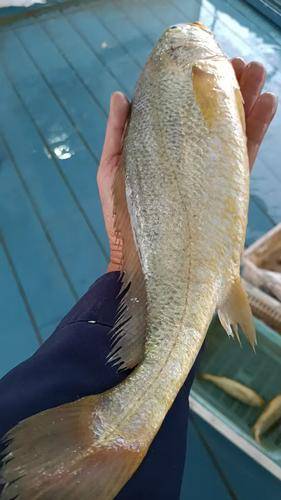 象山石浦海岛休闲渔业