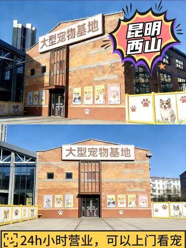 宠汪宠喵