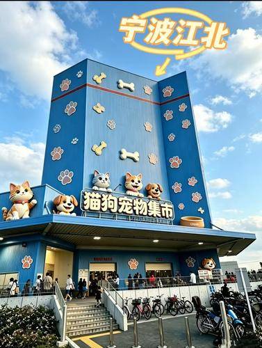 宠汪宠喵