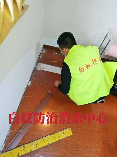安洁士