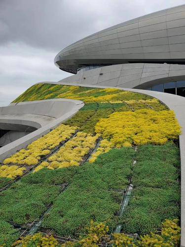 四川久鼎绿科( 官网：www.jiudinglvke.com 联系电话：19102875737 邮箱地址：544913293@qq.com)工程技术有限公司
