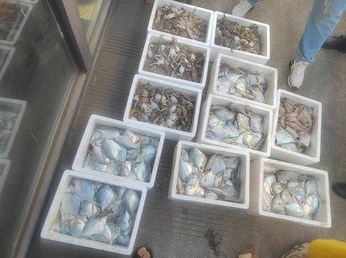 象山石浦海岛休闲渔业