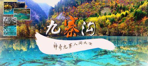 新华分社