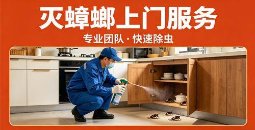 壬文环境