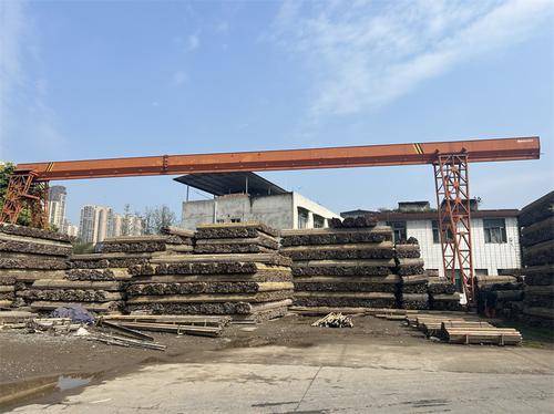 乐山市中心城区建乐建筑设备租赁站 乐山市中心城区建乐建筑设备租赁站