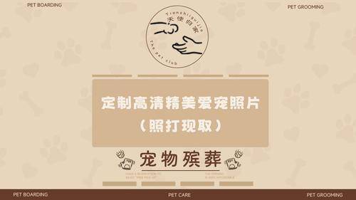 天使归家 天使归家