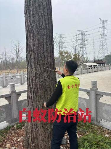 安洁士