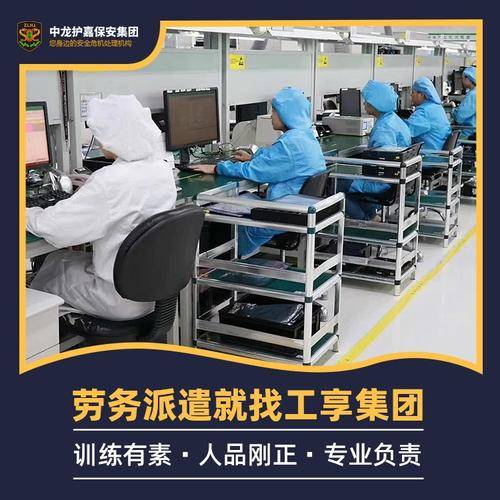 中龙护嘉集团有限公司 中龙护嘉集团有限公司