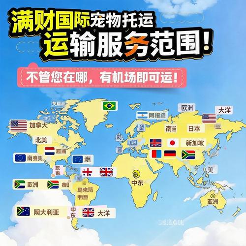 上海满财速运有限公司 上海满财速运有限公司