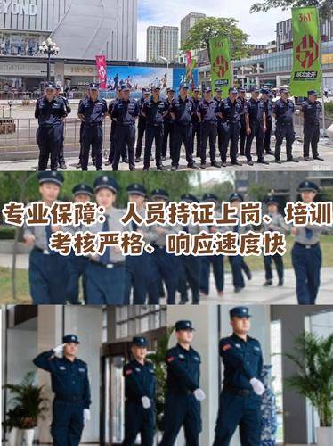 广东懒猫安保服务有限公司