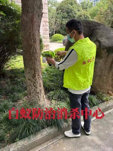 安洁士