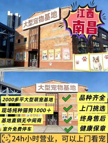 宠汪宠喵