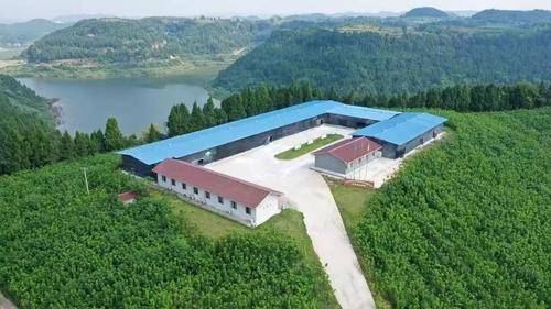 南充银海丝绸有限公司