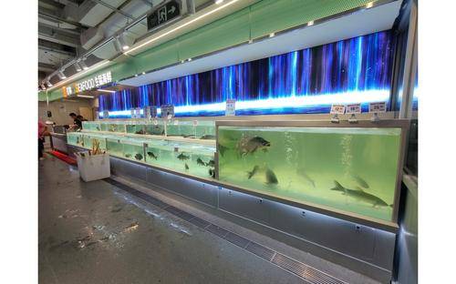 2026年q3水族缸哪家好:生态水族缸/生态海鲜池/生态观赏池/生态鱼缸/移动水族缸/多维度实用测评内容解析2026-07-20 11:34:03 2026年q3水族缸哪家好:生态水族缸/生态海鲜池/生态观赏池/生态鱼缸/移动水族缸/多维度实用测评内容解析2026-07-20 11:34:03