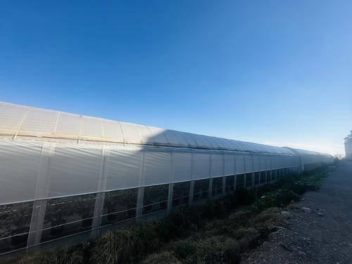 澄江叶抚花清农业发展有限公司