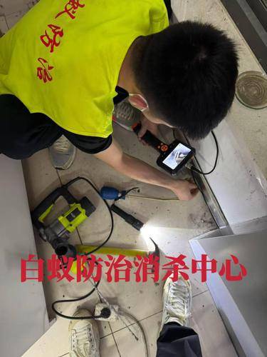 安洁士