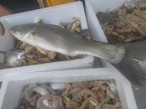 象山石浦海岛休闲渔业