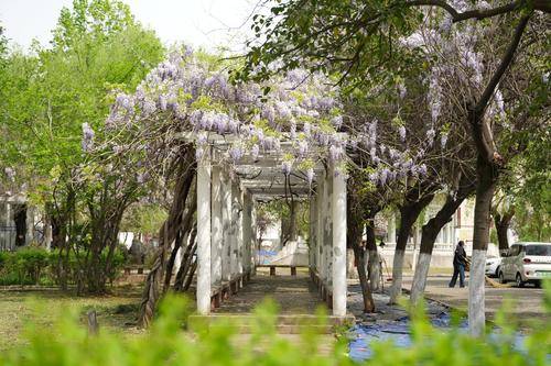 漯河职业技术学院
