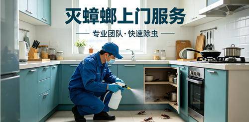 壬文环境