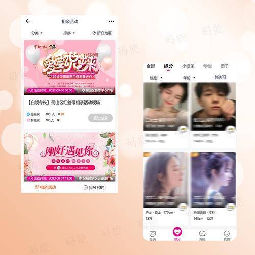 码能婚恋系统