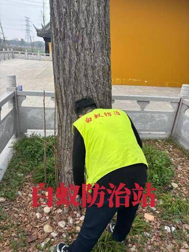 安洁士