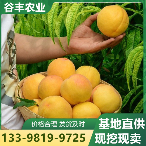 四川谷丰农业技术有限公司