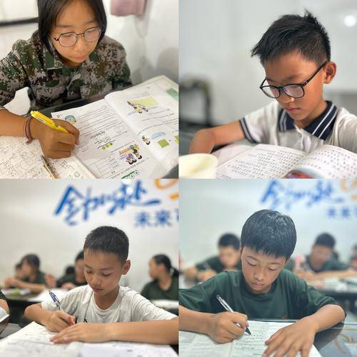 成都青苗行知健康咨询有限公司