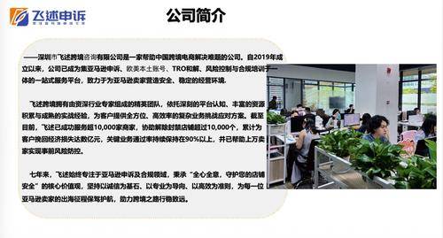 深圳市飞述跨境咨询有限公司