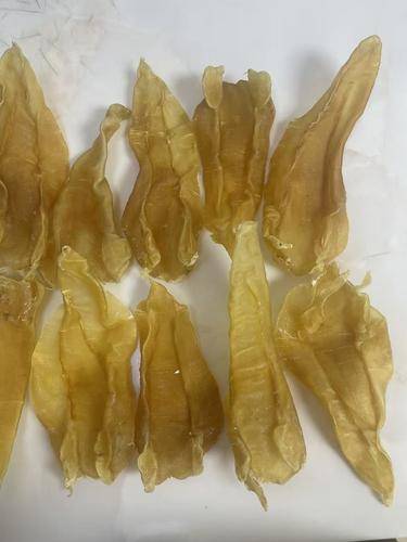 龙灏洋