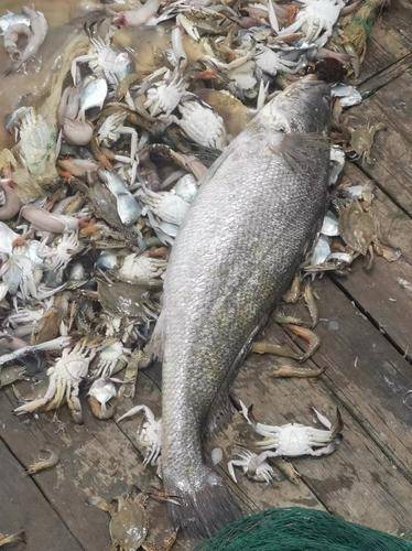 象山石浦海岛休闲渔业