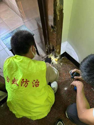 安洁士