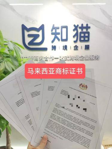 知猫跨境