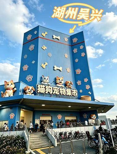 宠汪宠喵