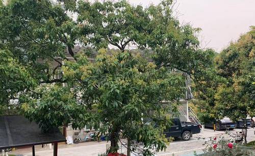 宠伴一生猫舍犬舍基地