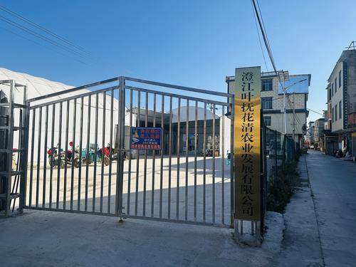 澄江叶抚花清农业发展有限公司 澄江叶抚花清农业发展有限公司