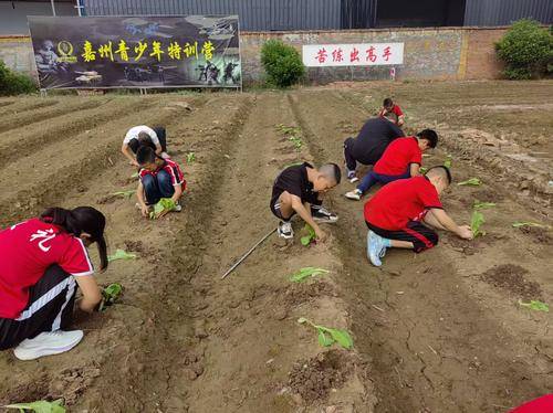 夹江县文礼武术学校