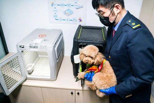 重庆豪兆商贸有限公司