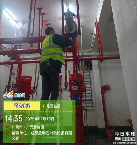 欣利安消