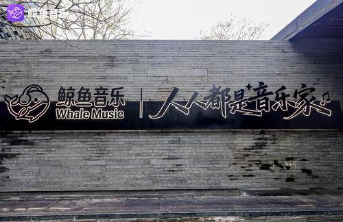 鲸鱼音乐